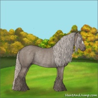 Horse Color:Silver Grullo Rabicano