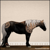 Horse Color:Void White Spotted Silver Bay Dun Sabino Splash Appaloosa 