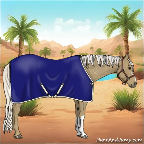 Horse Color:Silver Smoky Black 