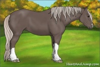 Horse Color:Silver Black 
