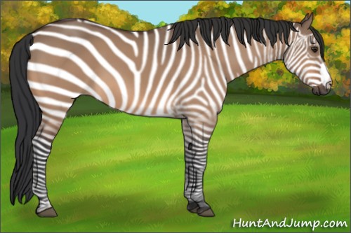 Horse Color:Brown Dun 