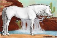 Horse Color:Buckskin Sabino 