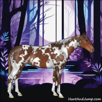 Horse Color:White Spotted Liver Chestnut 