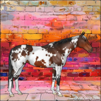 Horse Color:White Spotted Brown 