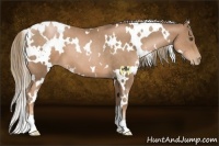 Horse Color:White Spotted Liver Chestnut Pearl