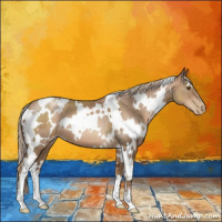 Horse Color:White Spotted Liver Chestnut Pearl 