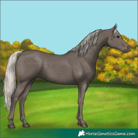 Horse Color:Silver Black