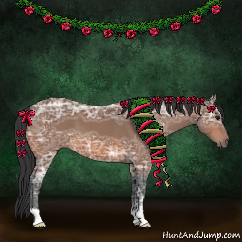 Horse Color:Bay Ice 