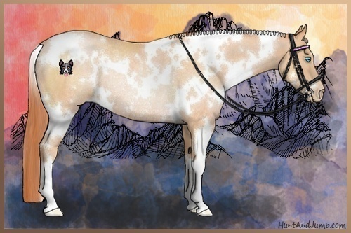 Horse Color:White Spotted Buckskin Pearl Rabicano