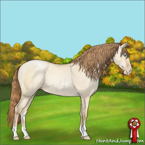 Horse Color:Smoky Grullo Pearl 