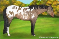 Horse Color:Brown Dun Blanket Brindle 