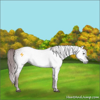 Horse Color:Gray Platinum Chocolate Brown Rabicano 