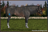 Horse Color:Brown Dun  and Brown 