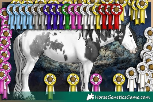 Horse Color:White Spotted Black Splash Tobiano Rabicano 