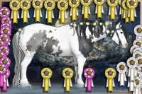 Horse Color:White Spotted Black Splash Tobiano Rabicano 