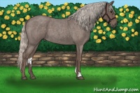 Horse Color:Silver Blue Roan 