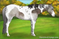 Horse Color:Smoky Black Sabino Tobiano Varnish 