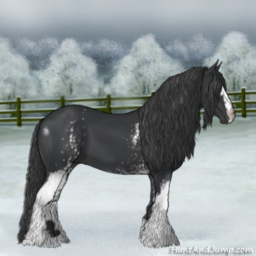 Horse Color:White Spotted Black 