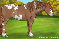 Horse Color:White Spotted Chestnut Frame Appaloosa Rabicano 