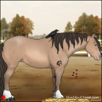 Horse Color:Amber Champagne 