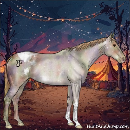 Horse Color:Nacre Liver Red Dun Roan Snowcap Rabicano 