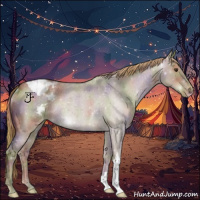 Horse Color:Nacre Liver Red Dun Roan Appaloosa Rabicano