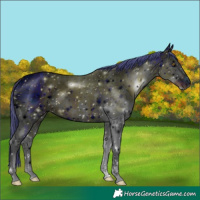 Horse Color:ERROR: UNKNOWN ANOMALY