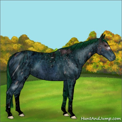 Horse Color:ERROR: UNKNOWN ANOMALY