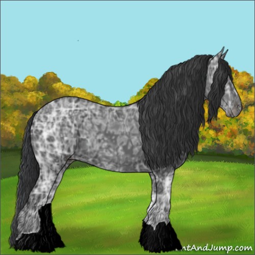 Horse Color:Black Ice 