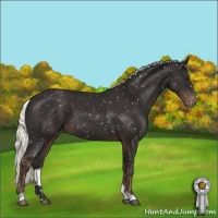 Horse Color:Liver Chestnut Mushroom Snowflake Varnish