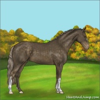 Horse Color:Chocolate Palomino Mushroom Varnish 