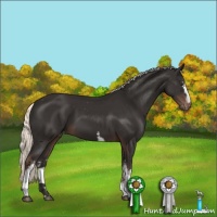 Horse Color:White Spotted Liver Chestnut Mushroom Varnish 
