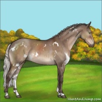 Horse Color:White Spotted Silver Brown Dun Mushroom 