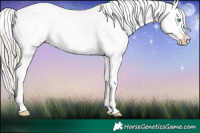 Horse Color:Chocolate Palomino Pearl Snowflake Varnish