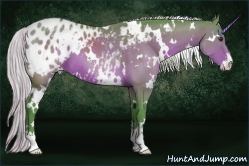 Horse Color:Watercolor White Spotted Silver Brown Sabino Appaloosa 
