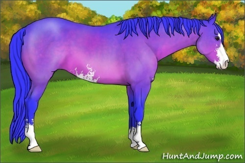 Horse Color:Watercolor Brown Sabino 