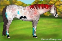 Horse Color:Liver Red Onyx Ice Frame 