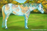 Horse Color:Thunderstruck Smoky Blue Onyx Ice Roan Appaloosa 