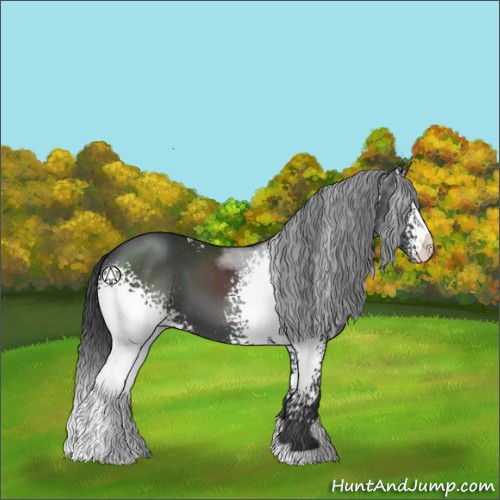 Horse Color:White Spotted Black
