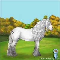 Horse Color:Gray White Spotted Silver Brown 