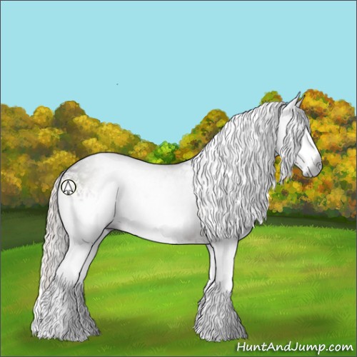 Horse Color:Gray White Spotted Silver Black Sabino 