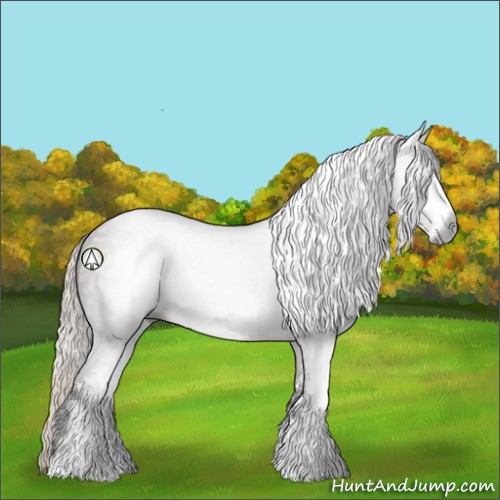 Horse Color:Gray Silver Black Sabino 