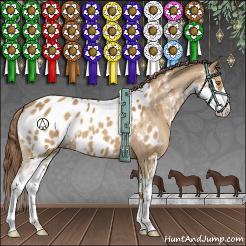 Horse Color:Classic Cream Champagne Sabino Appaloosa 