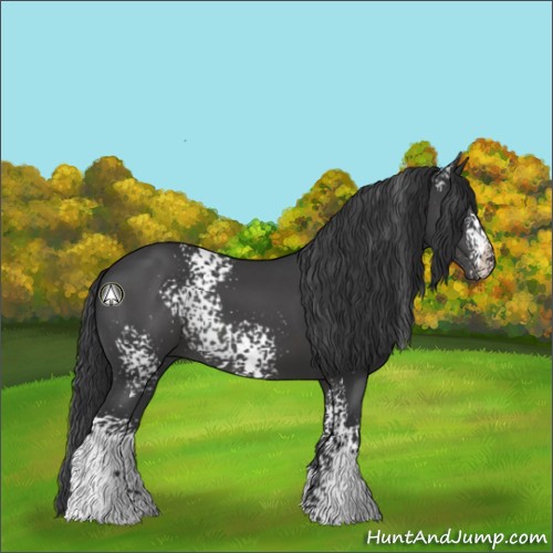 Horse Color:White Spotted Black 
