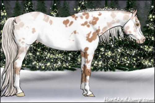 Horse Color:White Spotted Silver Brown Pearl Frame Appaloosa 