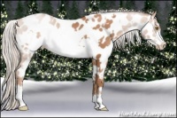 Horse Color:White Spotted Silver Brown Pearl Frame Appaloosa 