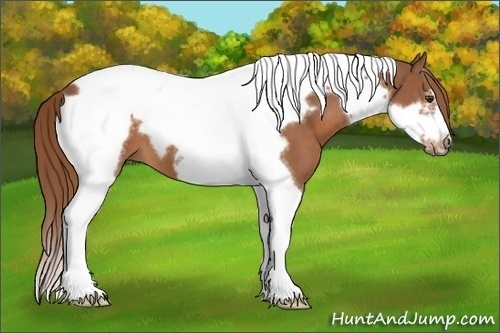 Horse Color:Chestnut Tobiano Frame 