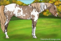 Horse Color:White Spotted Liver Red Dun Snowflake VarnishRabicano