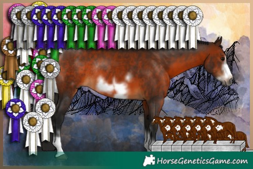 Horse Color:Gray Bay Sabino Frame Rabicano