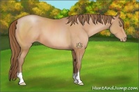 Horse Color:Brown Pearl 